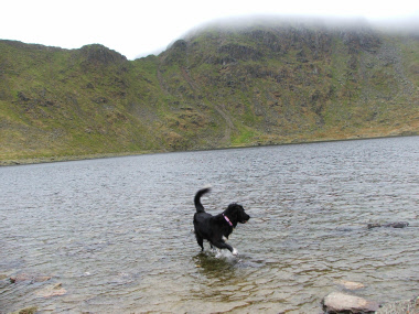 Sasha in Red Tarn
